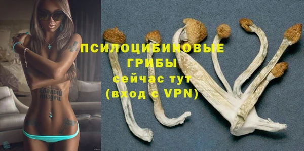 стаф Гусиноозёрск